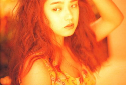 加藤 紀资料,日本文化传承与创新的杰出代表