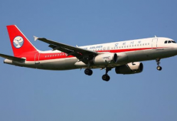 金星秀飞机延误网红