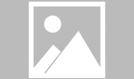 雷洛生个人资料,传奇企业家与慈善家的人生轨迹