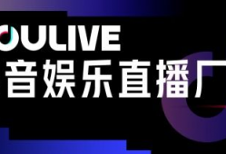 d夺金娱乐,揭秘热门娱乐项目背后的精彩故事