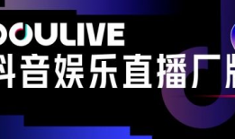 d夺金娱乐,揭秘热门娱乐项目背后的精彩故事