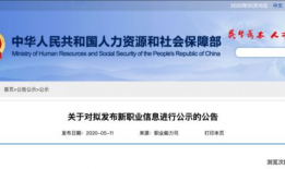 娱乐的收入纳税,收入纳税背后的秘密与挑战