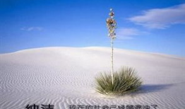 调节心情的图片,精选调节心情图片集锦
