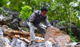 西畴郑艳个人资料