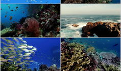 雨花石的音乐创作背景,岁月流转中的音乐记忆