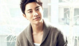 贾乃亮的照片大全图片,光影流转，魅力无限