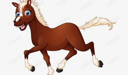 小马的资料,勇敢追梦的青春足迹