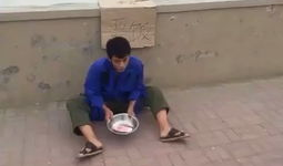 乞丐搞笑视频,乞丐搞笑视频，笑料百出，欢乐无限