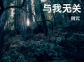 抖音画皮背景音乐