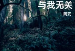 抖音画皮背景音乐