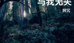 抖音画皮背景音乐