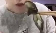 女主播直播口链接,揭秘网红直播背后的秘密