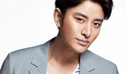 贾乃亮的照片大全图片,光影流转，魅力无限