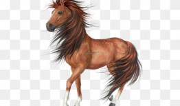 小马的资料,勇敢追梦的青春足迹