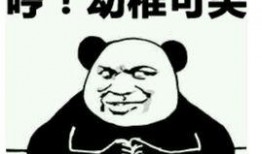 侄子还行表情包