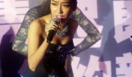 草根 明星,他们的奋斗之路