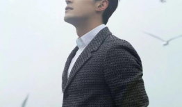 胡歌背景照片,光影交织，探寻演艺之路的璀璨星辰