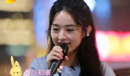 参加过中餐厅的明星,中餐厅明星阵容大盘点